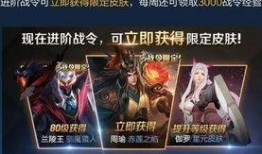 皮肤优化最新爆料王者,揭秘皮肤优化背后的神秘力量